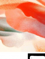 减肥真相大揭秘——科学策略助你健康瘦身