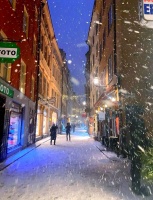 中年理財智慧：健康、教育與孝心的投資之道