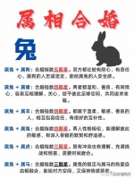 1999年2026年属兔女运势 属兔女2026年事业婚姻详解