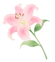 关爱“她”健康，奉贤中医医院推出“女神节”专属健康礼包
