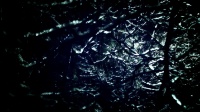 精血不足的表现 有哪些