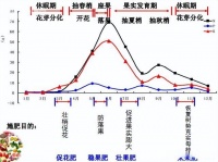 柑橘主要生育期及全程营养、植保方案