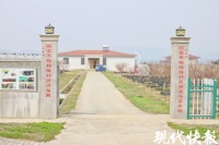 【学习强国】小青梅释放大活力！跟着南京农业大学教授体验“梅”好生活