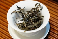 梅子箐古树茶特点