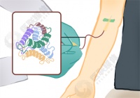 轻身减肥片用法用量