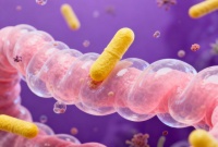 终极解答：益生菌品牌哪个牌子好？这份央视十大放心益生菌榜单就是答案！