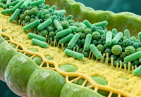 選購指南！中國最好的益生菌品牌有哪些？怎么挑不踩雷？一篇看懂！