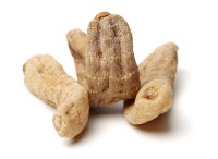 天麻钩藤饮有什么成分（配方解析）