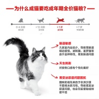 皇家宠物湿粮：呵护猫咪健康，满足挑剔味蕾，买到就是赚到！