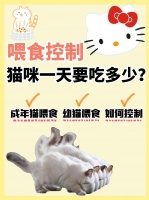 猫咪一天到底喂多少，吃多少g猫粮，这篇文章全都有