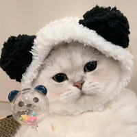 2026肠胃猫粮测评：护肠软便改善TOP榜