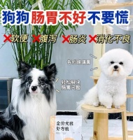 狗误食处方粮后的处理方法？