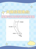 大肠经易堵点：按摩与饮食调节改善便秘