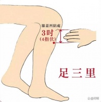 增强免疫力，按摩这些穴位