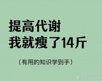中年女性瘦身秘诀：解锁代谢密码，9策略引爆脂肪“燃烧器”！