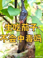 生吃茄子不会中毒吗 凉拌茄子...@东方健康的动态