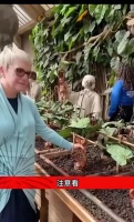 探秘植物园：寻找那些“成精”了的植物奇观