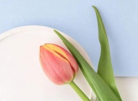 寶寶睡得香，不代表吃得飽，母乳喂養(yǎng)最常見的八大誤區(qū)