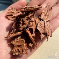 固肾+健脾，我一整年都会吃的食物~