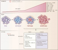 5篇顶刊最新综述，详解肝细胞癌治疗和研究热点