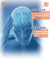浅谈音乐治疗（Music Therapy）作用原理及临床应用