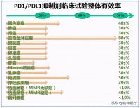 前美国总统卡特使用的PD