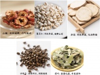 中药减肥茶的科学性与安全指南