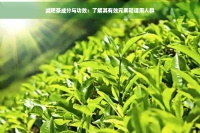 减肥茶成分与功效：了解其有效元素和适用人群