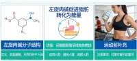 天天有人问推荐什么品牌？2026左旋肉碱推荐什么品牌比较好？白皮书十大排名自己看