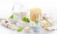 动物乳制品减脂效果好不好