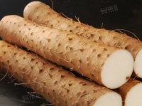 山药减肥还是增肥