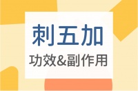 刺五加的神奇療效：7大刺五加功效、6大刺五加副作用與刺五加禁忌