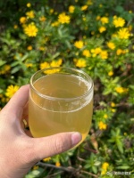 蜂蜜的12种神仙吃法！第7种连营养师都偷偷在喝，第11种竟能养颜又助眠？