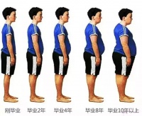胖是“工伤”，怪我工作太努力？其实胖的真相是…