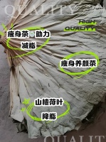 干荷叶配什么搭档最燃脂？
