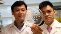 科学家研究出减肥贴，不用迈开腿不用管住嘴，嫌自己胖了在腰上贴一圈