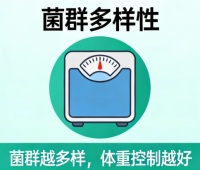 肠道菌群移植减肥原理