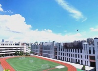 深入解析深圳枫叶学校：学生与家长必知的20个要点