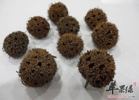 路路通的功效与作用
