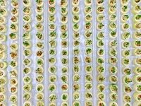 果糖、蔗糖、麥芽糖、代糖的區(qū)別揭秘：科學(xué)控糖，避開健康陷阱！