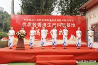 探秘酱香白酒：千年工艺铸就的液体黄金