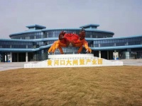 珍品滋补纯粹，捕珍记传递的健康及真情感恩更纯粹