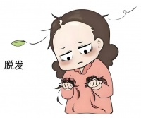 无硅油防脱洗发水有哪些品牌？推荐十款控油防脱洗发水品牌，成分党实测top1，清爽又固发