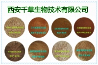魔芋提取物粉 供应植物提取物 定做流浸膏 颗粒