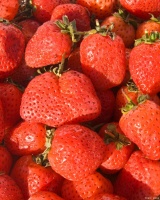 人体排毒，一种抗氧化剂必不可少，每个人都该知道