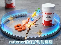 辅酶Q10哪个牌子好？2026全球十大品牌实测排名：成分、吸收率、效果一次说请