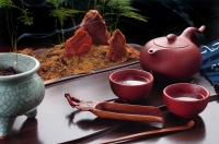 清热的茶有哪些？好喝很重要、健康更关键