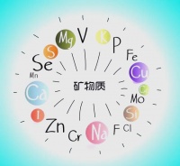 矿物质的重要性与健康摄入指南