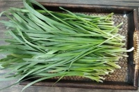 韭菜的营养价值