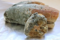 面包中的矿物质种类对身体健康有何不同？如何确保全面摄入？